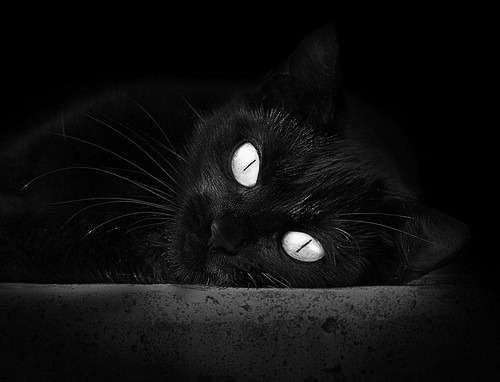 冰火交响曲,当德国战车撞碎长城时,羽坛诗人正挥写惊艳诗篇