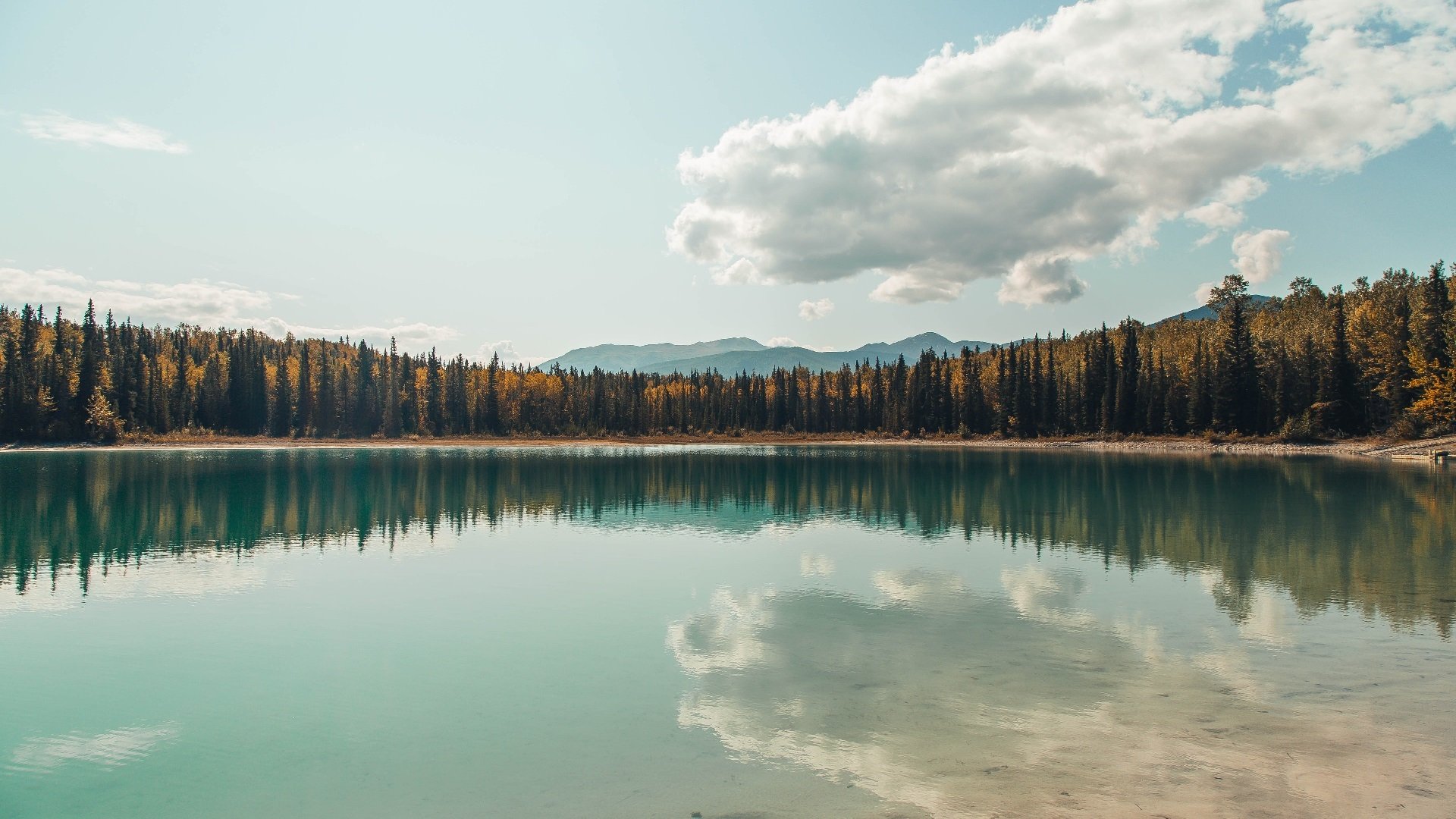 跨洋对决爆冷!辽宁队绝地逆袭快船,蓝领霍勒迪化身绝地武士