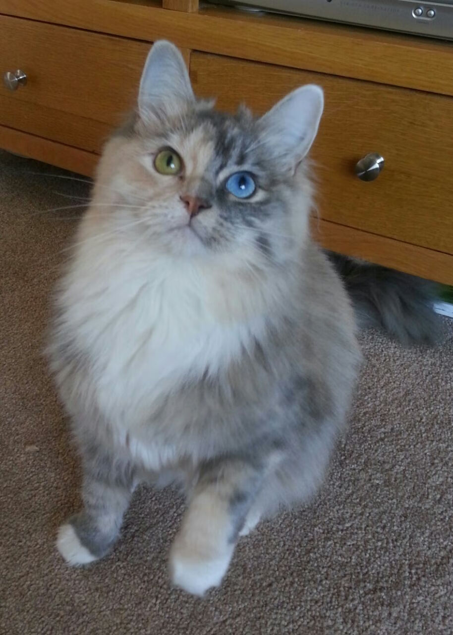 神来之笔,德里赫特唯一绝杀改写历史,乌拉圭险胜卡塔尔的关键先生密码