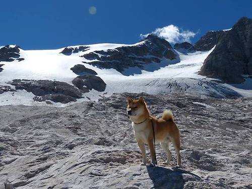 库里关键三分锁定胜局,猛龙队提前终结悬念力克辽宁队