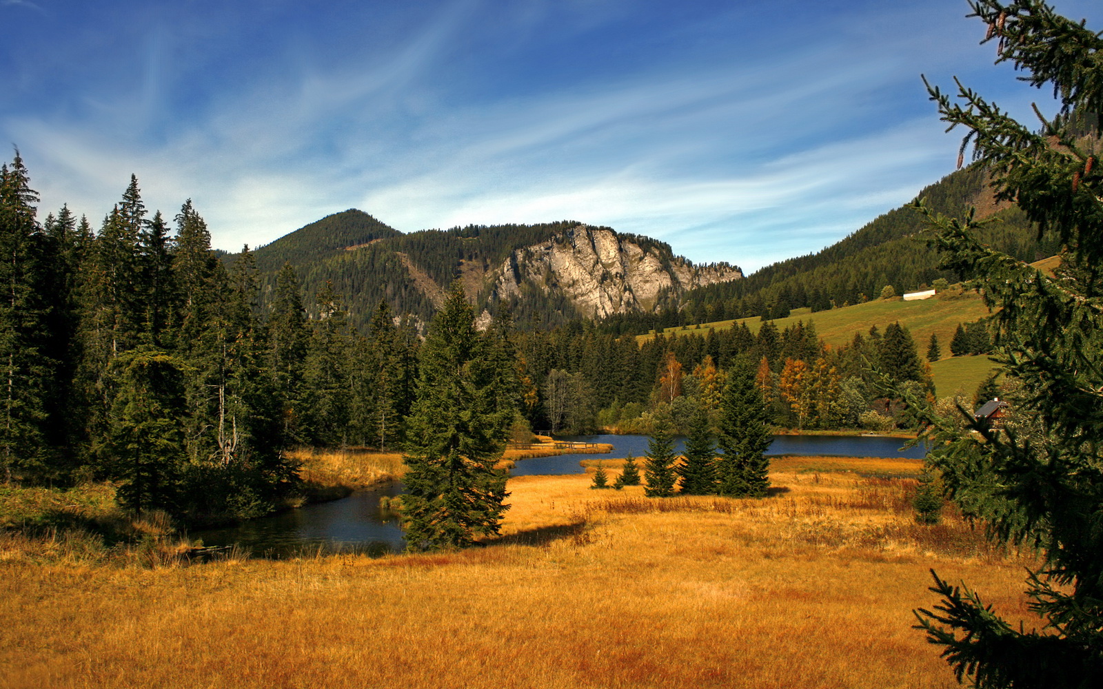 唯一的光,当巴西风暴遇见北欧指针,厄德高让雷恩之夜永载史册