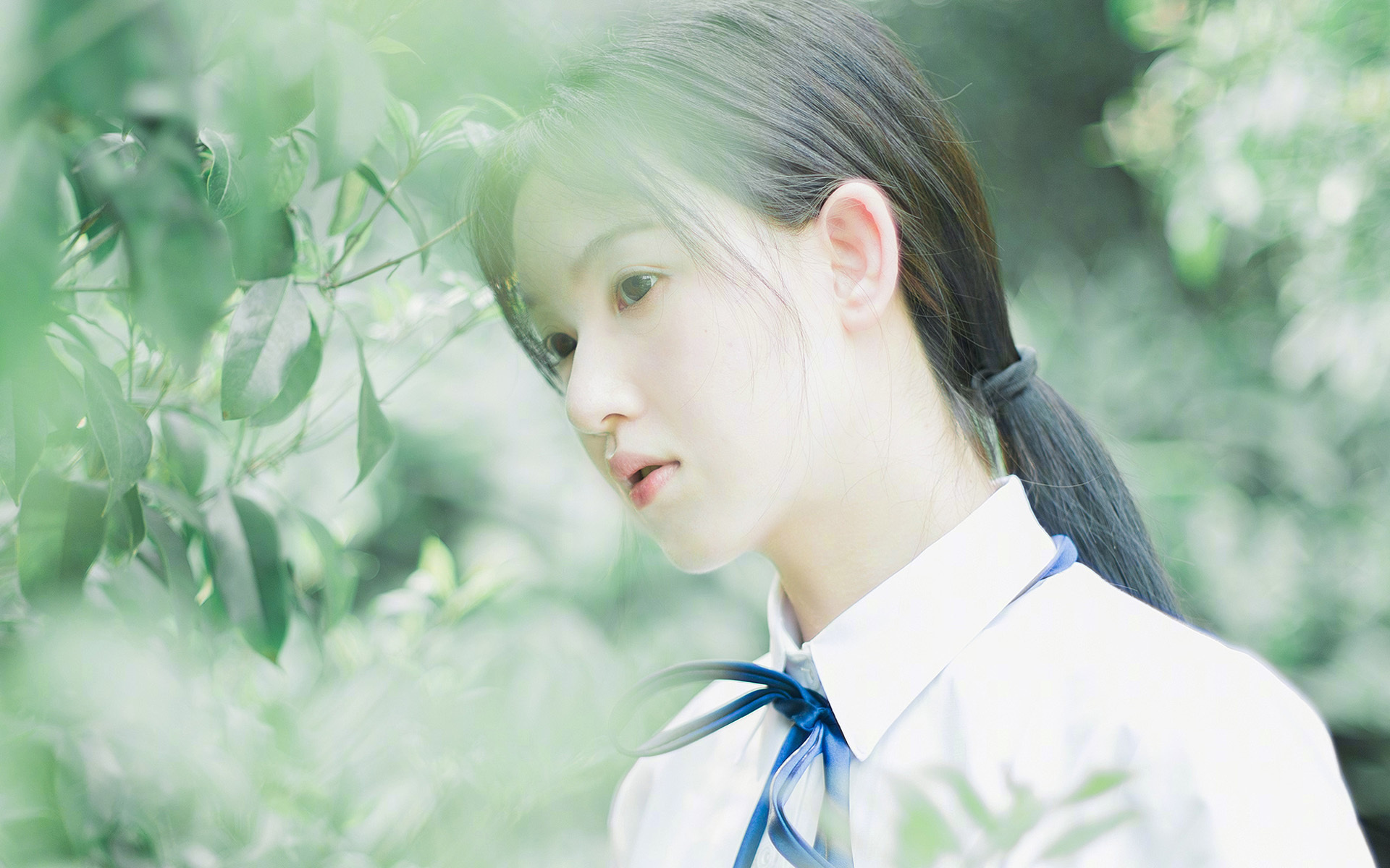 从雷霆铁血到戈贝尔壁垒，当防守艺术跨越两种赛场