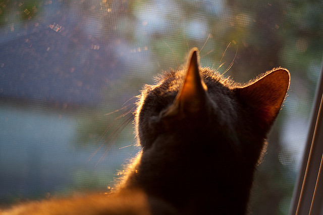 亚洲铁卫激战波斯铁骑，金玟哉状态火热难阻伊朗逆转墨西哥