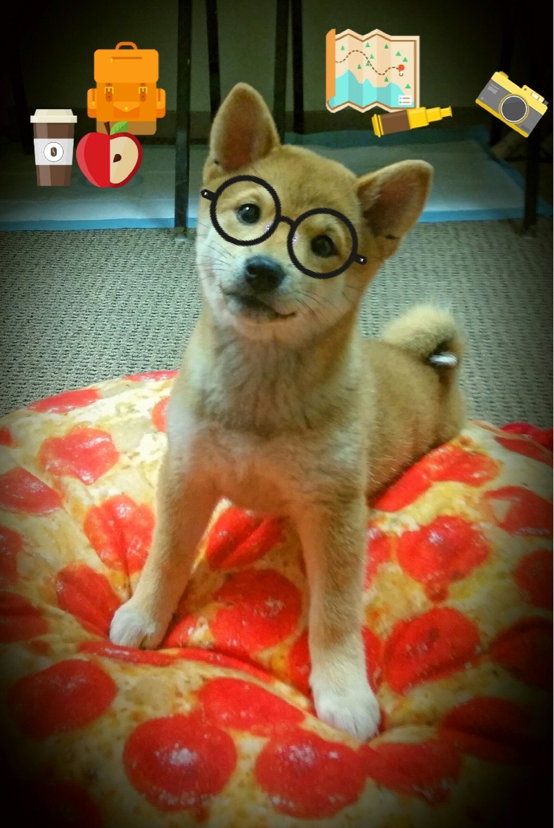 雄鹿式纪律与杜兰特式接管，竞技世界两种终极法则的隔空对话