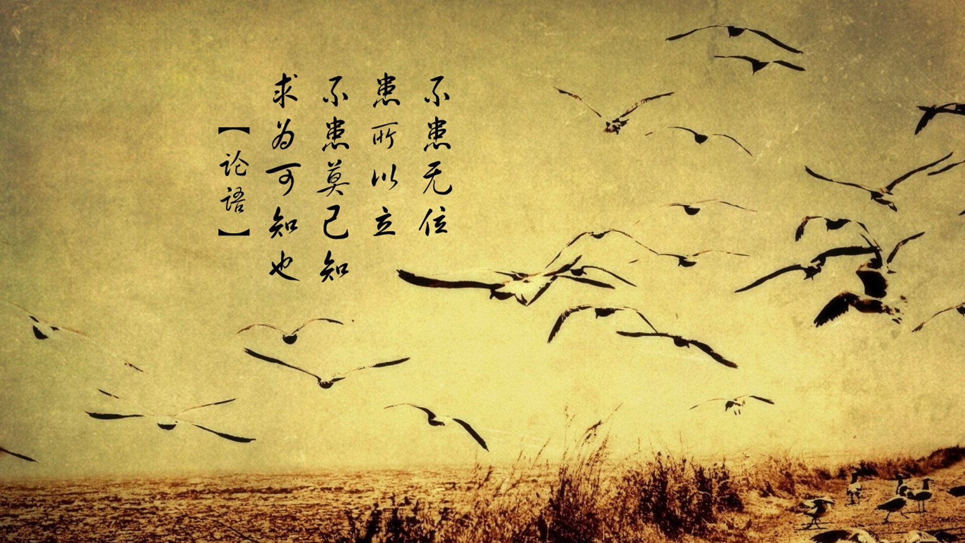 奥亚尔萨瓦尔,从风中之烛到巴斯克灯塔