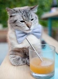 东方之剑与波兰铁骑,足球世界的多元爆发