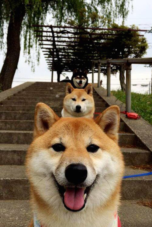 跨界巅峰对决，恩比德巨星价值闪耀，广厦队惜败公牛引热议