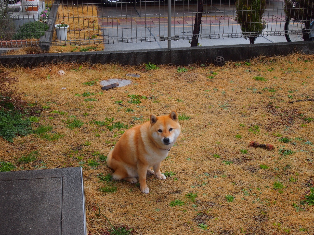 双星博弈的破局者，恩比德压制级表演，快船终解雄鹿之困