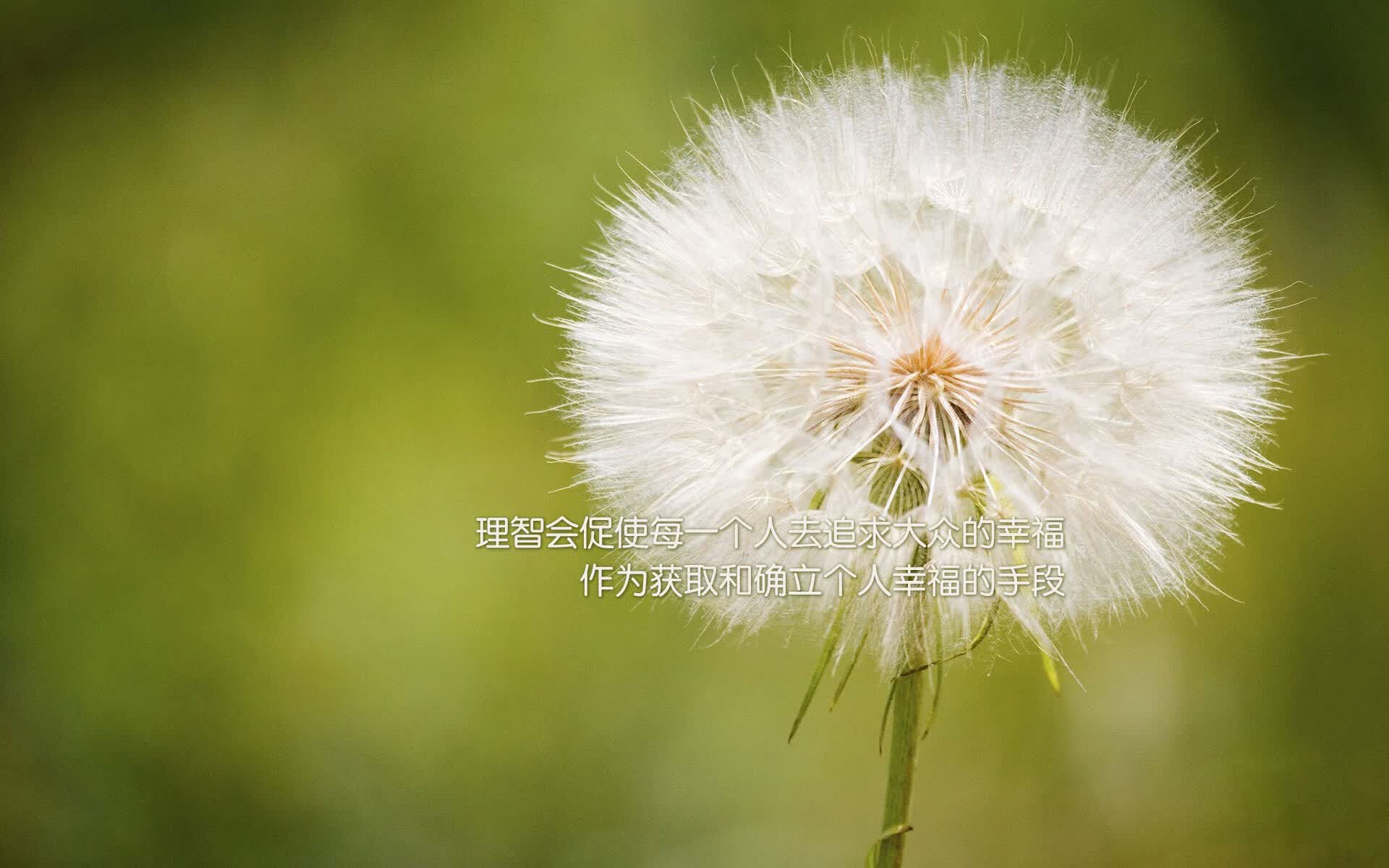 命运之夜的唯一杀机，当英格兰的钢铁洪流碾过星条旗，佩德里的灵光刺破纪元