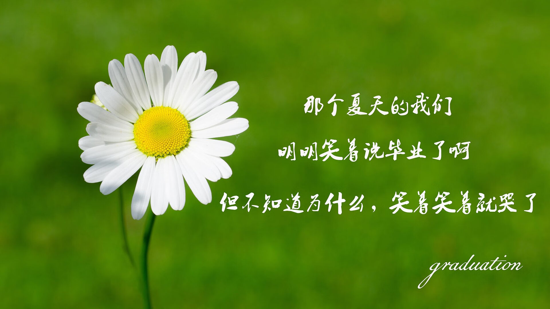 冷夜的孤注一掷，2026世界杯G组，挪威绝杀英格兰，内马尔完成致命一击，临场调整书写绝唱